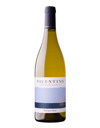 Vicentino Sauvignon Blanc 2019