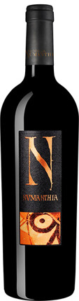 Bodega Numanthia Tinto 2016