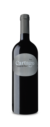 Bodegas San Roman Cartago Tinto 2013