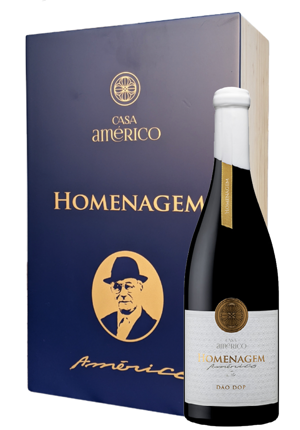 Casa Américo Homenagem Tinto Cx. 2 un. 2015