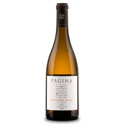 Página Sauvignon Blanc Branco  2017