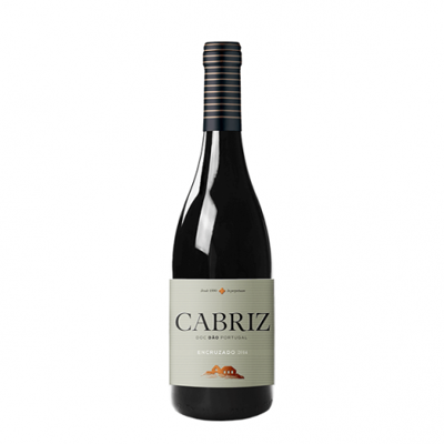 Cabriz Reserva Branco 2019